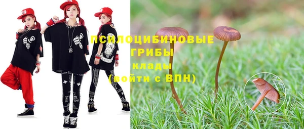 метадон Пестово