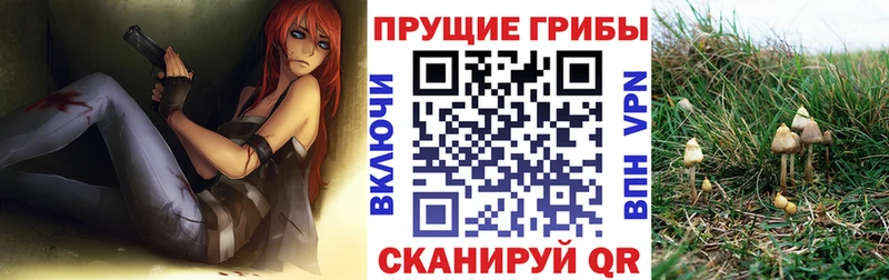 Псилоцибиновые грибы ЛСД  где найти наркотики  Курганинск 