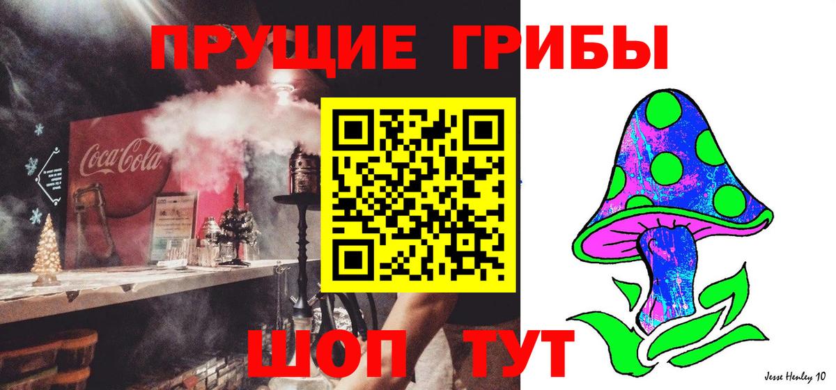 Псилоцибиновые грибы Magic Shrooms Курганинск