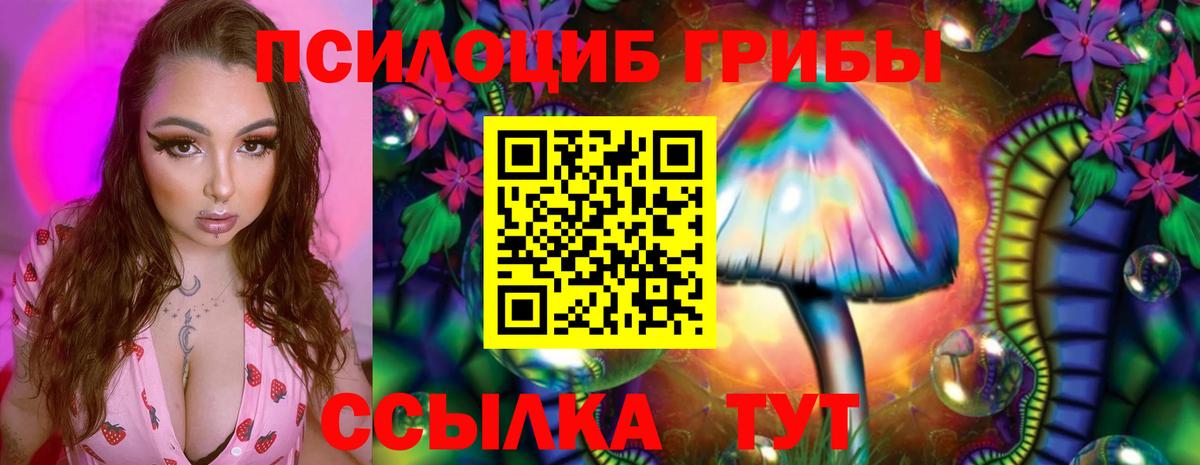 Псилоцибиновые грибы Magic Shrooms  Вход с VPN  Курганинск 